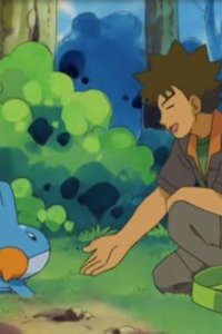 Poketto monsutâ – S06E25 – A Mudkip Mission