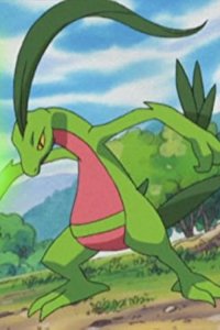 Pokémon – S07E26 – Critical Situation! Bakuong vs Juptile!
