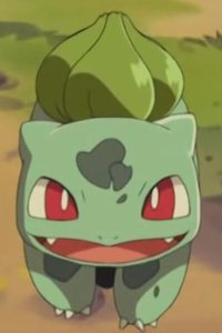 Pokémon – S07E33 – King of the Forbidden Forest! Fushigibana!!