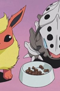 Pokémon – S07E38 – Pokémon Contest! Ruibosu Tournament!