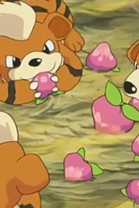 Pokémon – S07E99 – On Cloud Arcanine