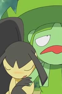 Pokémon – S08E13 – Falling in Love with Kucheat! Hasubrero’s Flower Arrangement!!