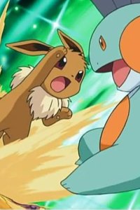 Pokémon – S08E75 – Decisive Game! Haruka vs Takeshi!!