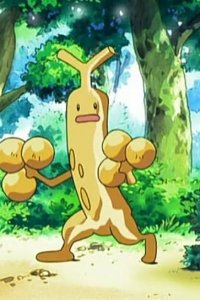 Pokémon – S08E81 – All That Glitters Is Not Golden!