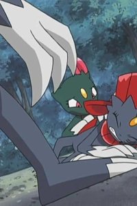 Pokémon – S08E93 – Attack! The Stray Manyula!!