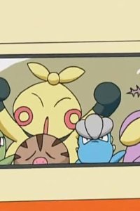 Pokémon – S08E96 – Pinch Healing