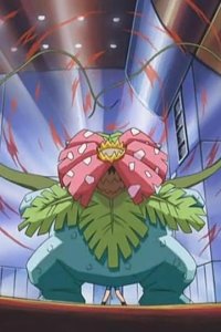 Pokémon – S09E06 – Weekend Warrior