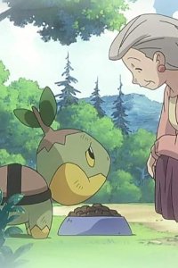 Pokémon – S10E05 – Naetle! I’ll Get You!
