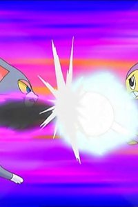 Pokémon – S10E12 – Contest Battle! Rival Confrontation!!