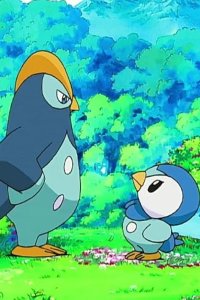 Pokémon – S10E26 – Pokémon Contest! Sonoo Tournament!!