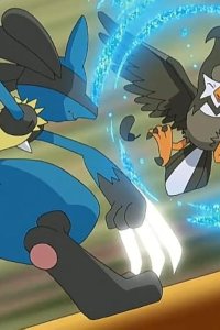 Pokémon – S10E68 – Tobari Gym! Lucario vs Buoysel!!