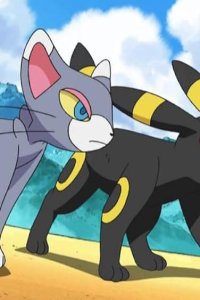 Pokémon – S11E85 – Hikari vs Mama! Parent-Child Showdown!!