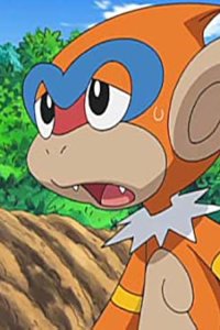 Pokémon – S11E93 – Satoshi and Hikari! Tag Battle!!