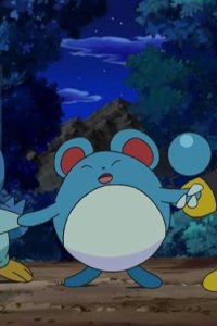 Pokémon – S12E33 – Maril, Pochama, Elekid!!