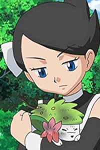 Pokémon – S13E11 – Fly, Shaymin! Far Into the Sky!!