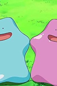 Pokémon – S13E16 – Metamon: Transformation Battle! Which One Is the Real One!?