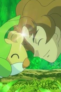 Pokémon – S14E17 – Yaguruma Forest! Kurumiru and Arti!!