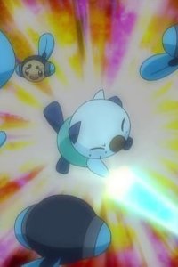 Pokémon – S14E31 – Gamagaru, Maggyo! Battle on the Waterfront!!