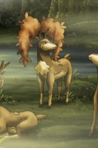 Pokémon – S15E06 – The Four Seasons of Sawsbuck!