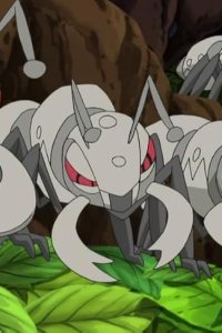 Pokémon – S15E26 – Rescue Kibago! Aiant’s Nest!!