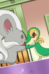 Poketto monsutâ – S16E01 – The Most Magnificent Pokémon in the World!? Chillaccino VS Tsutarja!