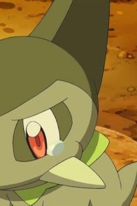 Pokémon – S16E08 – Kibago Gets Lost!