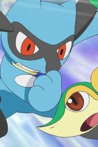 Pokémon – S16E10 – Satoshi VS Kotetsu! Secret Weapon Sazandora!!