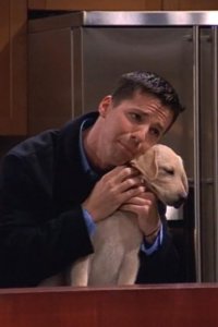 Will & Grace – S01E09 – The Truth About Will and Dogs