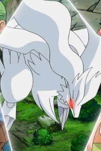 Pokémon – S16E25 – Reshiram VS N! Beyond Truth and Ideals!!