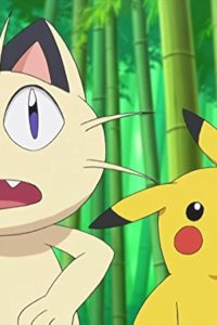 Pokémon – S17E11 – Pursuit in the Bamboo Forest! Yancham and Goronda!!