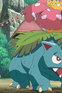 Poketto monsutâ – S19E06 – Welcome to the Ninja Village! The Legend of the Heroic Gekkouga!!