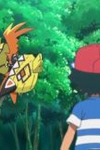 Poketto monsutâ – S20E02 – The Guardian Deity Kapu-Kokeko Appears! Challenge, Our Z-Move!!