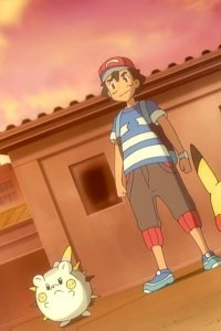 Pokémon – S20E06 – The Shocking and Prickly Togedemaru!