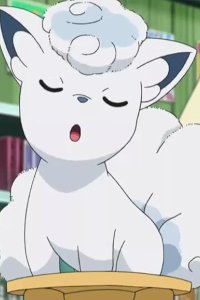 Pokémon – S20E14 – Getting to Know You!
