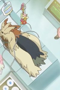 Pokémon – S20E21 – Nyabby, Time to Begin the Journey!