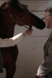 Da Vinci’s Inquest – S03E10 – You See How It Begins?