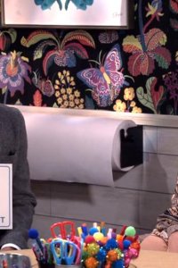 Will & Grace – S11E08 – Lies & Whispers