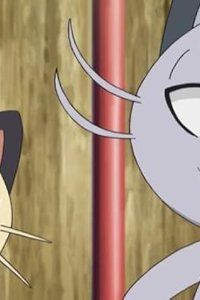 Poketto monsutâ – S21E19 – The Evil Nyarth is an Alolan Nyarth!?