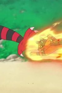 Pokémon – S21E20 – Blaze, Nyabby! Overthrow Gaogaen!!