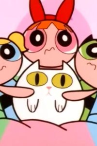 The Powerpuff Girls – S01E10 – Cat Man Do/Impeach Fuzz