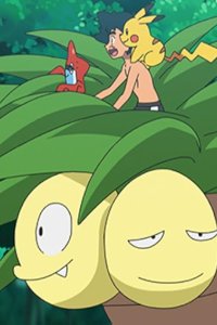 Poketto monsutâ – S22E10 – Alola, Alola!