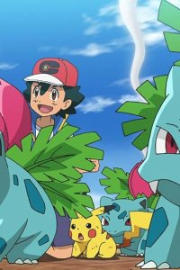 Poketto monsutâ – S22E57 – Fushigisou, Isn’t it Mysterious?
