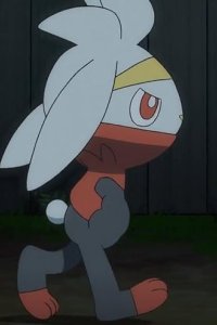 Pokémon – S23E22 – Farewell, Raboot!