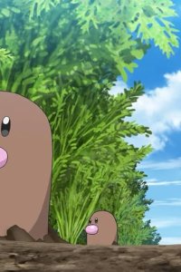 Poketto monsutâ – S24E04 – Agricultural Experience! Where is Digda!?