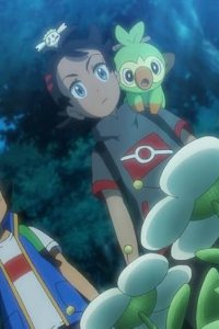 Pokémon – S24E18 – Flabebe’s White Flower