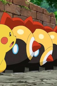 Pokémon – S24E25 – Captain Pikachu! Advance, Tairetsu!!
