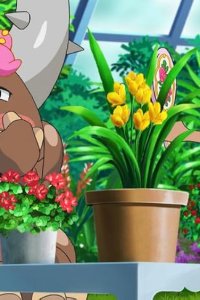 Pokémon – S25E04 – The Heracros Loss, the Kailios in Love