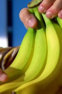 Good Eats – S14E06 – Yes We Have No Banana Pudding