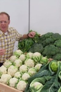 Good Eats – S14E21 – The Caul of the Flower