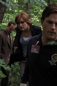 Law & Order: Special Victims Unit – S06E04 – Scavenger